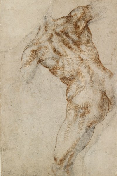Nahé mužské torzo, počátek 16. století od Michelangelo Buonarroti