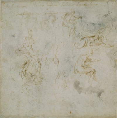 Recto: Osm obrazových studií. Verso: Figure Study, c1490-1560. od Michelangelo Buonarroti