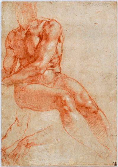Studie sedícího mladého muže nahá a dvě paže, cca 1510-1511 od Michelangelo Buonarroti
