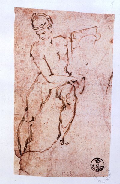 Strop Sixtinské kaple (1508-12): skica apoštola (pero a hnědý inkoust) od Michelangelo Buonarroti