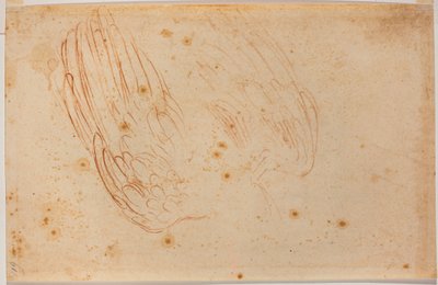 Náčrtek orla od Michelangelo Buonarroti