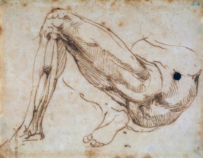 Studie nohy od Michelangelo Buonarroti
