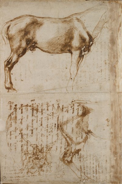 Studie koně a jezdce útočícího na pěšáky, počátek 16. století od Michelangelo Buonarroti