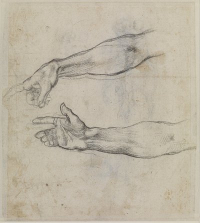 Studie natažené ruky pro fresku "Opilost Noemova" v Sixtinské kapli, asi 1508-09 (černá křída na papíře) od Michelangelo Buonarroti