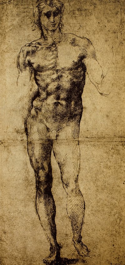 Studie pro mužský akt, Michelangelo Buonarroti (1475-1564), kresba, Paříž, muzeum Louvre od Michelangelo Buonarroti