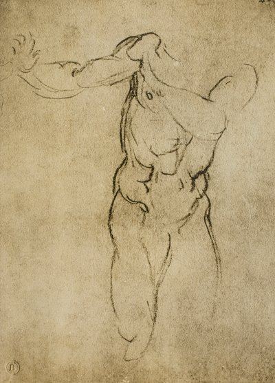 Studie k mužnému poprsí, kresba Michelangelo. Casa Buonarroti, Florencie od Michelangelo Buonarroti