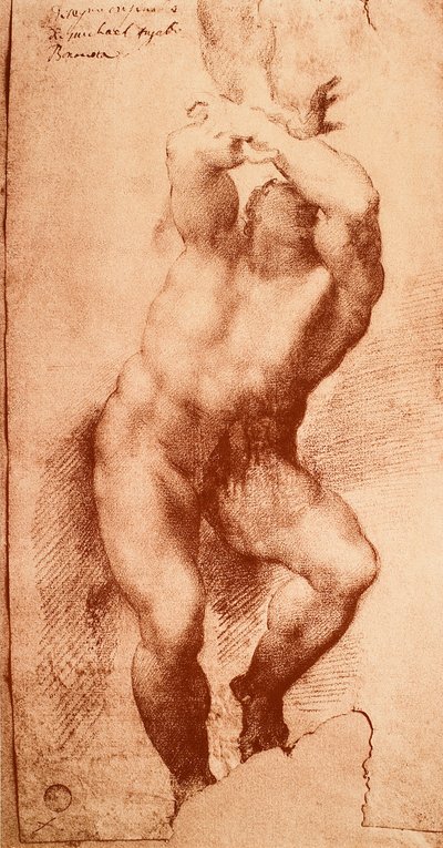 Studie k jedné z postav Posledního soudu, kresba Michelangelo. Gallerie dellAccademia, Benátky od Michelangelo Buonarroti