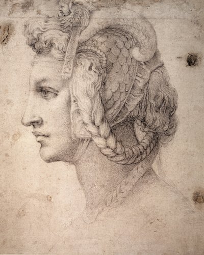 Studium hlavy od Michelangelo Buonarroti