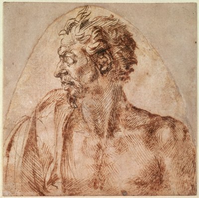 Studie hlavy a ramen (inkoust na papíře) od Michelangelo Buonarroti
