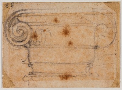 Studium iontového kapitálu od Michelangelo Buonarroti