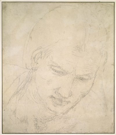 Studie hlavy (černá křída na bílém papíře) od Michelangelo Buonarroti