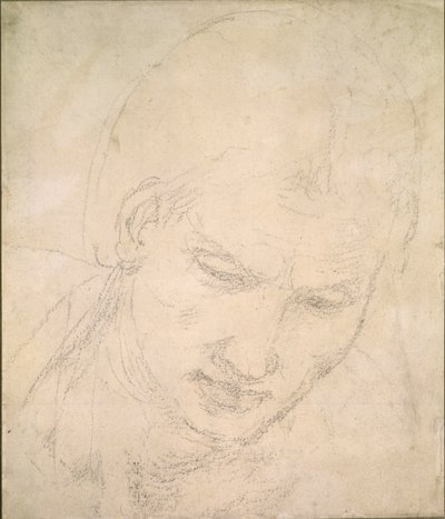 Studie hlavy, c1490-1560 od Michelangelo Buonarroti