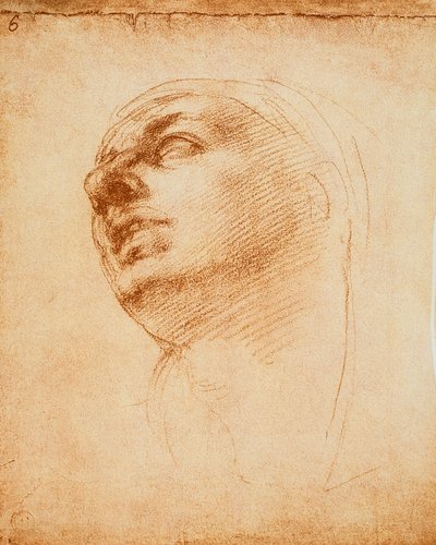 Studie tváře, kresba Michelangelo. Casa Buonarroti, Florencie od Michelangelo Buonarroti