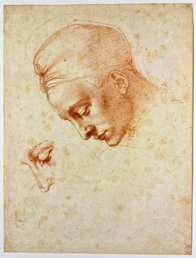 Studie k hlavě Ledy, asi 1530 od Michelangelo Buonarroti