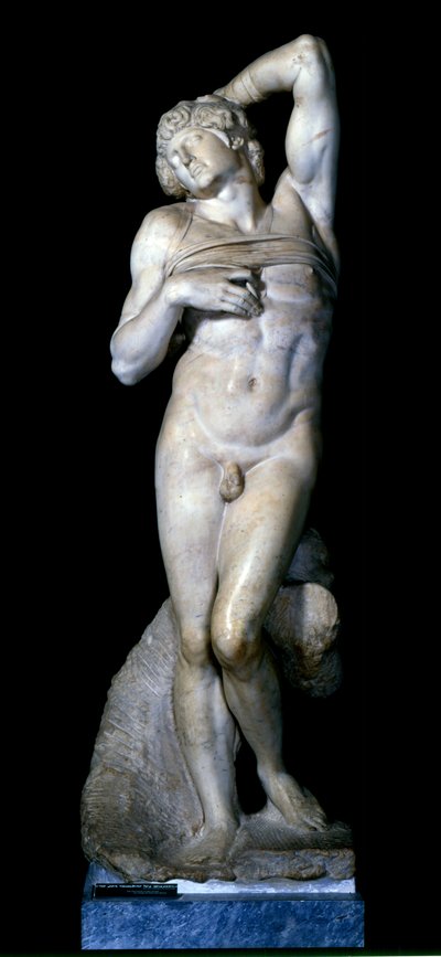 Umírající otrok, 1513-15 od Michelangelo Buonarroti