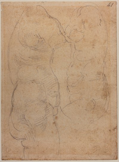 Dvě studie o starověké Venuši od Michelangelo Buonarroti