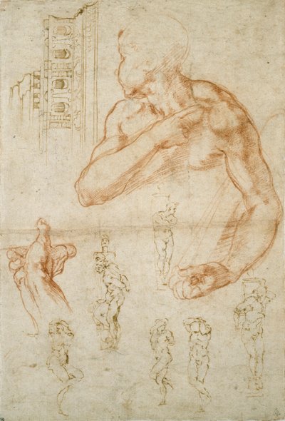 Různé studie pro Sixtinský strop a hrobku papeže Julia II., c1490-1560 od Michelangelo Buonarroti