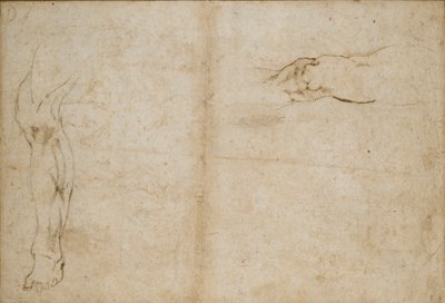 Verso: Studie mužské nohy, c1490-1560 od Michelangelo Buonarroti
