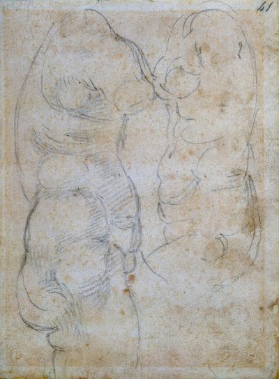 Dvě studie založené na torzu starověké ženy od Michelangelo Buonarroti