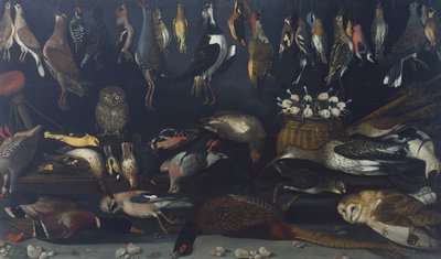 Zátiší s ptáky, od Master of the Hartford Still-life (olej na plátně) od Michelangelo Merisi da Caravaggio
