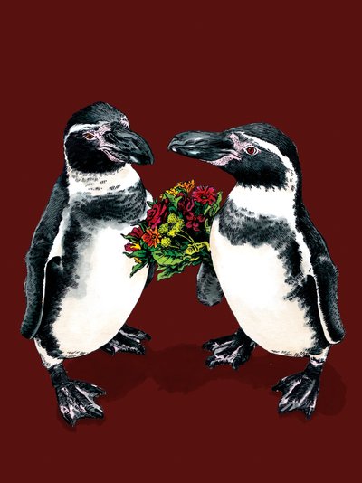 Výročí Penguins on Red Oxide, 2020 od Mike Davis