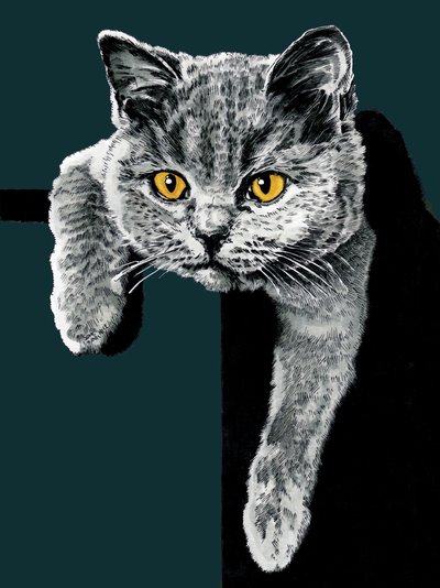 Flora The Kitten on Deep Cyan, 2020 od Mike Davis