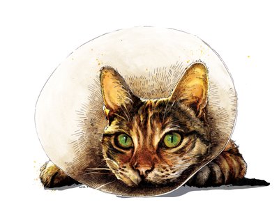 Get Well Cat on White, 2020 od Mike Davis