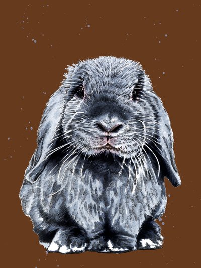 Gray One The Bunny on Burnt Orange, 2020 od Mike Davis