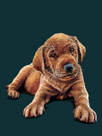 Marge The Puppy na Deep Cyan, 2021 od Mike Davis
