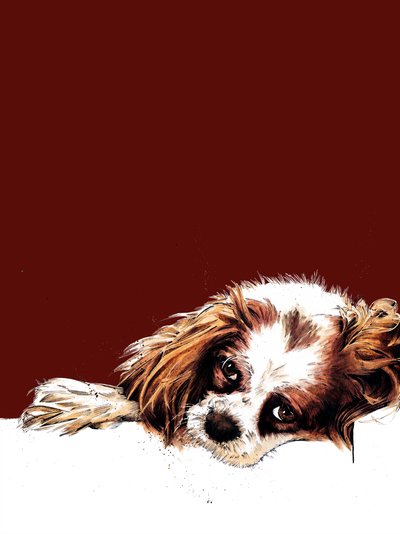 Meg The Spaniel na Red Oxide, 2020 od Mike Davis