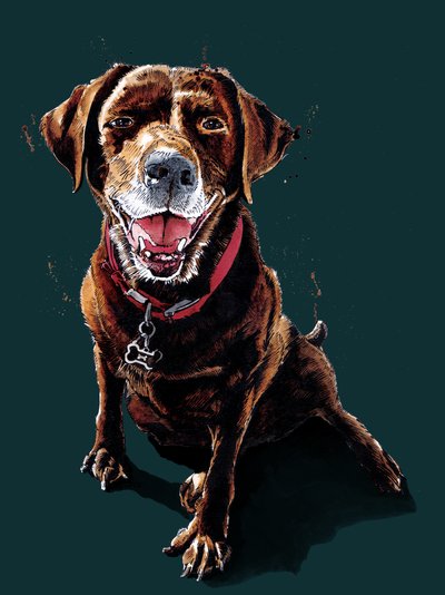 Nessa The ChocLab na Deep Cyan, 2020 od Mike Davis