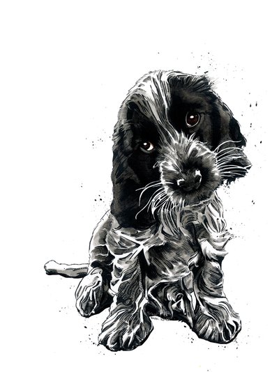 Rosie The Cocker Spaniel on White, 2019 od Mike Davis