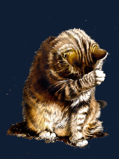 Smallfry The Cat on Midnight Blue, 2020 od Mike Davis