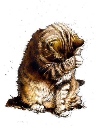 Smallfry The Cat on White, 2019 od Mike Davis