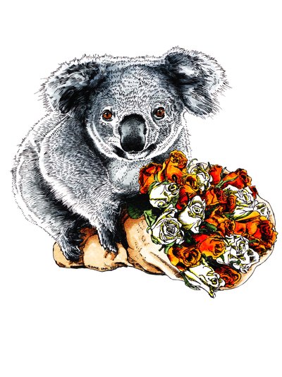 Díky Koala on White, 2020 od Mike Davis