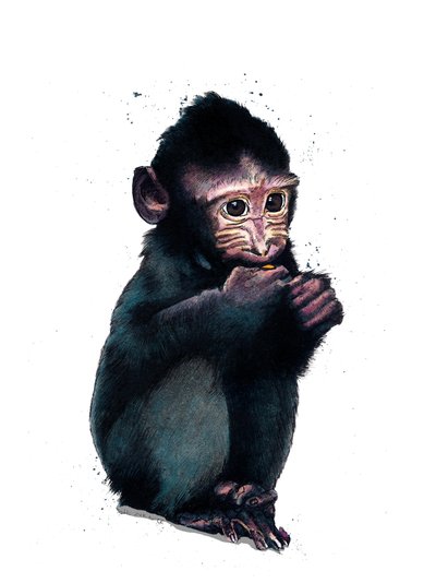 The Baby Macaque on White, 2020 od Mike Davis