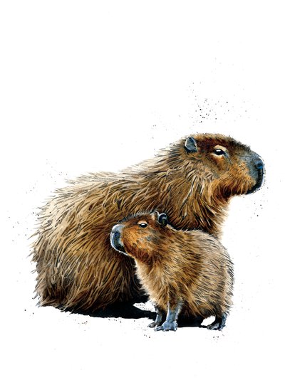 Kapybary na bílém, 2019 od Mike Davis