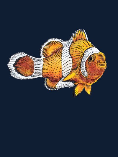 The Clownfish on Midnight Blue, 2022 od Mike Davis