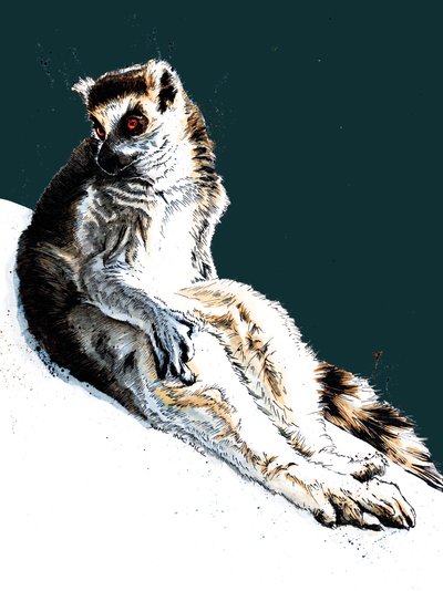 Líný lemur na půlnoční modré, 2020 od Mike Davis