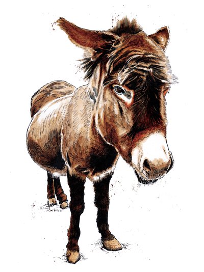 The Little Donkey on White, 2020   1421232   cs       czech Successfully Translated  Original: Dainagon Tsunenobufrom the series One Hundred Poems Explained by the Nurse (Hyakunin isshu uba ga etoki) Translat: Dainagon Tsunenobufrom the series One Hundred  od Mike Davis