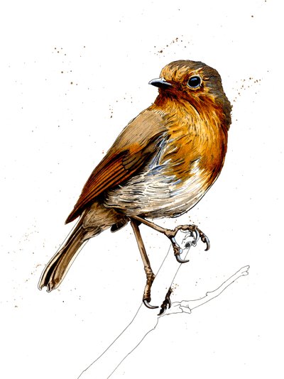 The Robin on White, 2019 od Mike Davis