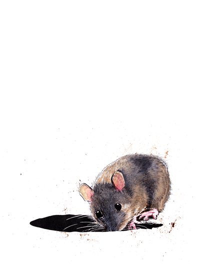 The Woodmouse on White, 2019 od Mike Davis