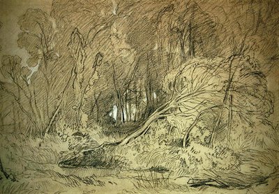 Mýtina v lese (černobílá křída na papíře) od Miles Edmund Cotman