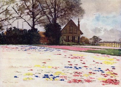 Hyacinty rozptýlené na písku (barva litho) od Mima Nixon