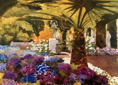 Cinerarias, Achilleion, Korfu od Mima Nixon