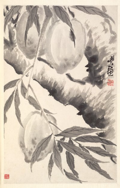 Peaches, 1788. od Min Zhen