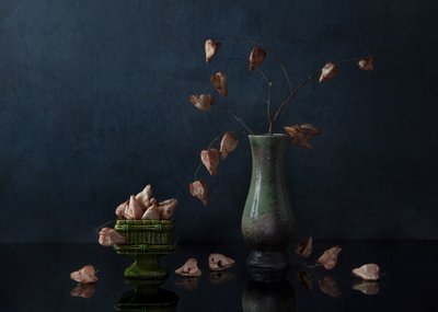  od Ming Chen