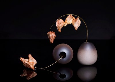  od Ming Chen