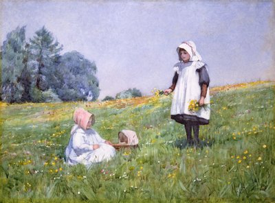 Motýlci a sedmikrásky (wc na papíře) od Minnie Jane Hardman