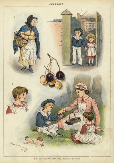 Třešně (chromolitho) od Miss Eliza F. Manning